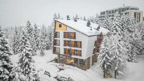 Khulo Hotel | Forest Villa