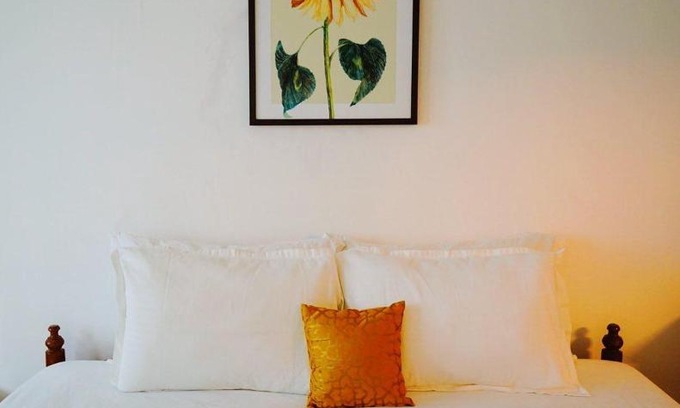 Fort Kochi Bed & Breakfast | Fortis Rooms