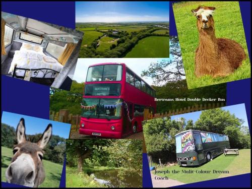 Hartland Other | Fosfelle Glamping