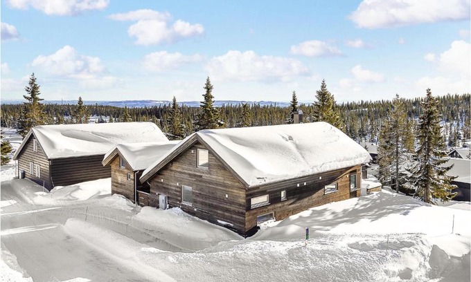 Ringsaker House | Four-Bedroom Holiday Home in Sjusjoen