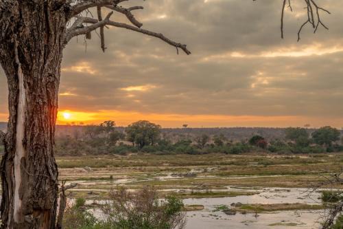 Marloth Park Cabin | Foxy Crocodile Bush Lodge & Kruger Safari's - No Loadshedding
