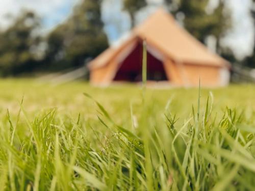 Carlyon Other | Fully Furnished Bell Tent 1