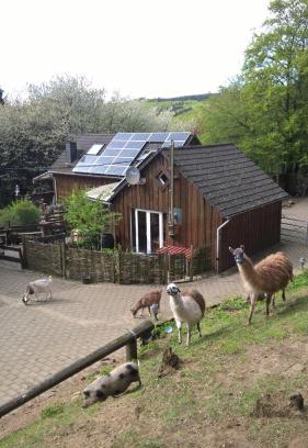 Sassen House | Funny-Farm