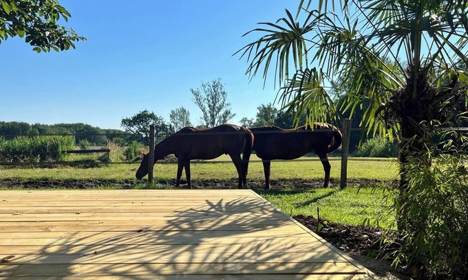 Villemur-sur-Tarn House | Gîte les Millères - Maison de Campagne Avec Animaux et pré Pour Chevaux