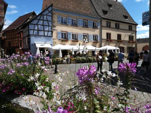 Eguisheim House | Gîtes Au Château Fleuri