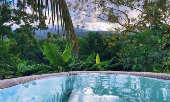 Mata de Platano Apartment | #G Tropical Rainforest Retreat Ocean View w/hottub