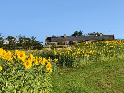 Kelso House | Garden Bank Cottage