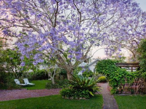Tea Gardens House | Garden Cottage