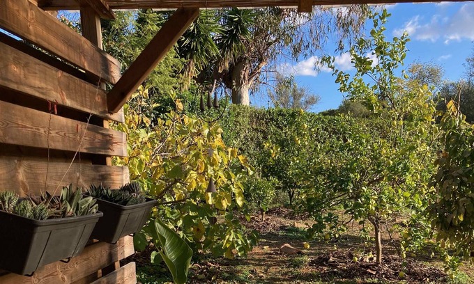 Olhao Cottage | Garden House "Orchard Island"