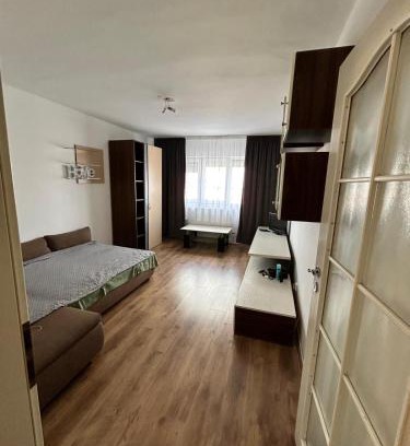 Sanmartin Apartment | Garsonieră Băile Felix