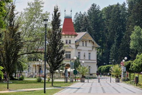 Luhacovice Apartment | Garsonka - Luhačovice