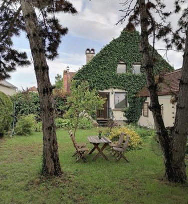 Weiden am See Apartment | Gartenapartment Storchenblick