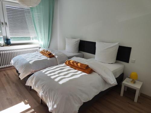 Kernstadt Apartment | Gemütliche Wohnung mit großer Dachterrasse in sehr zentraler Lage