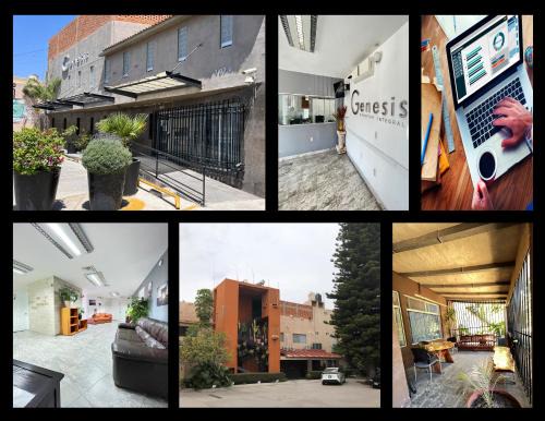 San Luis Potosi Apartment | Genesis Suites/Lofts
