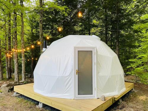 Jeffersonville House | Geodome 1min to Smuggler's Notch with hot tub & River