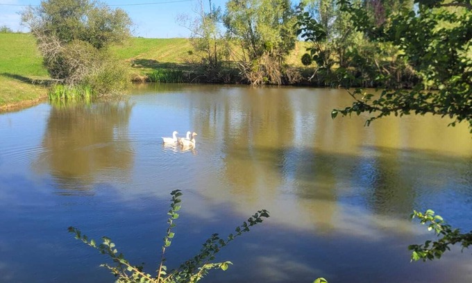 Castelnau-d'Auzan House | Gîte Le Grand Castillon - Fishing in private ponds and forest - Jacuzzi (optional)