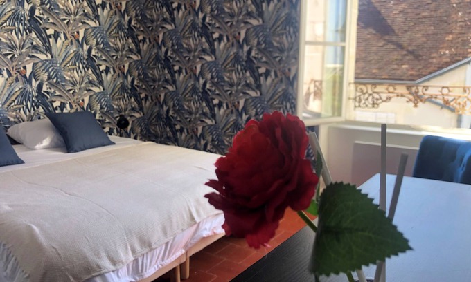 Palluau-sur-Indre House | Gite 9 persons near BEAUVAL Zoo, Châteaux de la Loire, Pellevoisin