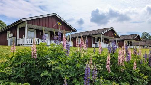 Dalskog House | Glad hund