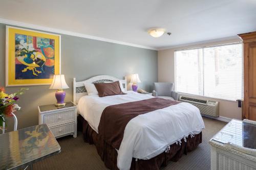 Avalon Hotel | Glenmore Plaza Hotel