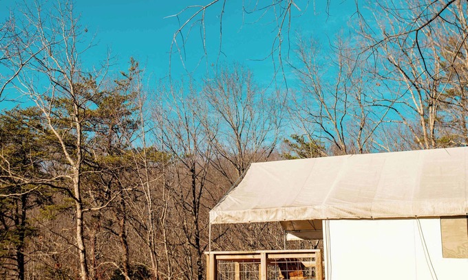 Primrose RV Rental | Goldfinch's Nest- Glamping Tent with AC