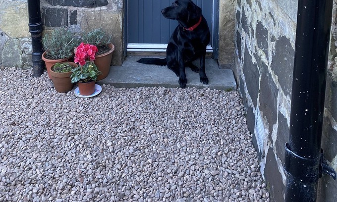 Cupar Cottage | Gorgeous adjoined annexe of country house , 20 mins to beach.