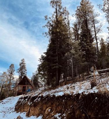 Potato Patch House | Gorgeous Cabin with Fireplace and Stunning Forest Sights in Prescott, Arizona
