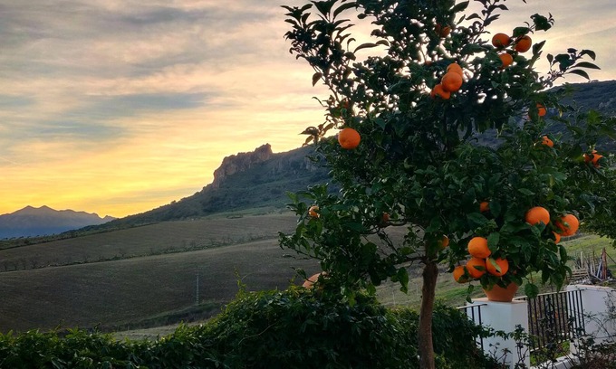Montecorto House | Gorgeous guest suite on a working vineyard with spectacular views