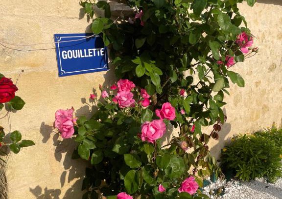 Saint-Pey-de-Castets House | Gouillette