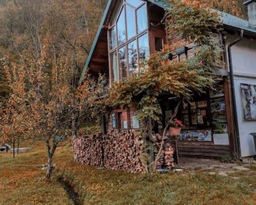 Pluzine Apartment | Grab cabin
