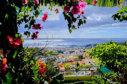 Imaculado Coracao de Maria House | Granny's house view