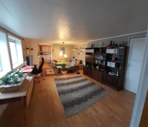 Gravdal Apartment | Gravdal Basement Apartment