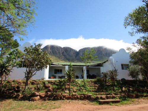 Groenvlei House | Griffons Nest