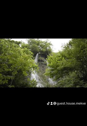 Tsqaltubo House | Guest House Mekvena