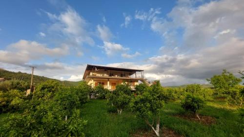 Berat Apartment | Guest House Xhaferaj