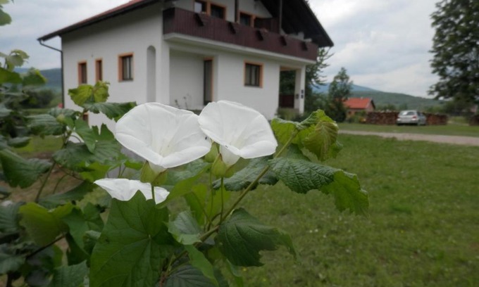 Irinovac House | Guesthouse Matija