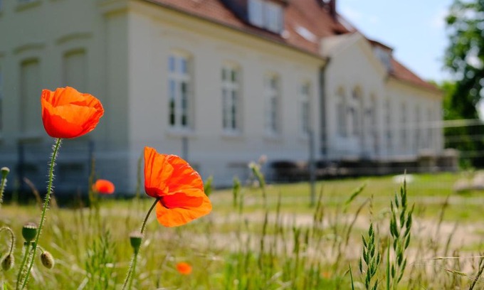 Klein Voigtshagen Apartment | Gutshaus FeWo Warnemünde