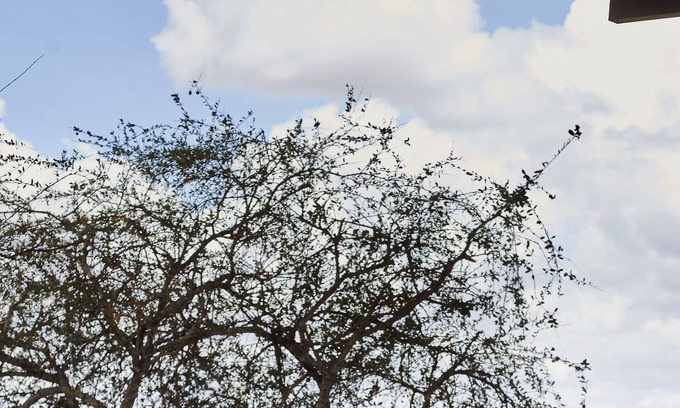Amboseli Other | H12 Elephant Gorge Camp