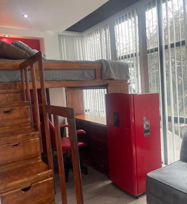 Roma Sur House | Habitacion nueva en la Roma Sur