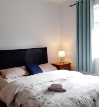 Dublin House | Happy guest