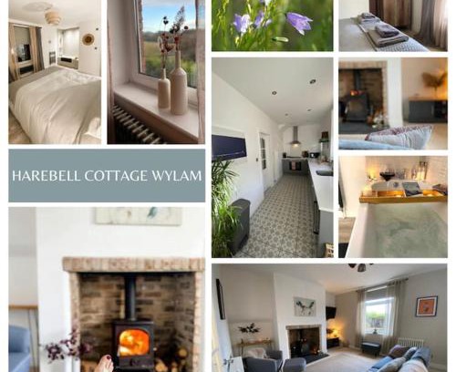 Wylam House | Harebell Cottage in Wylam Village Sleeps 4
