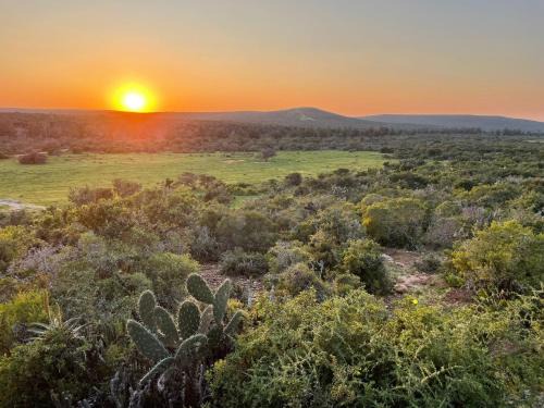 Nelson Mandela Bay Cabin | Harmony Luxury Tents & Safari