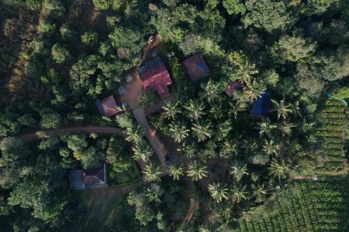 Mudigere House | Hasiru Homestay