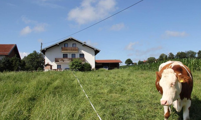 Waging am See Apartment | Haslacher Hof