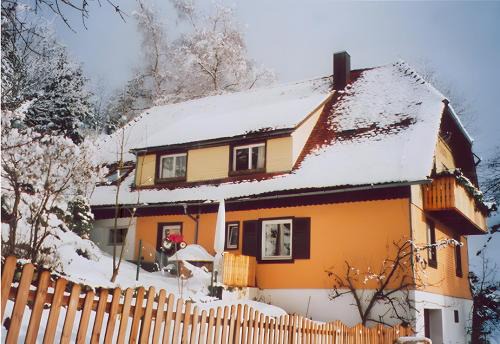 Triberg im Schwarzwald House | Haus Antonis