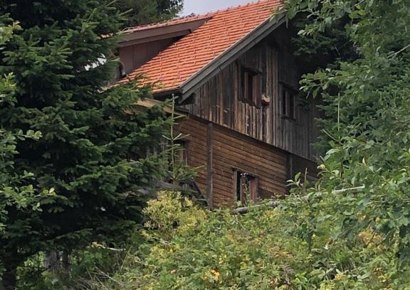 Bad Sankt Leonhard im Lavanttal House | Haus Hanna