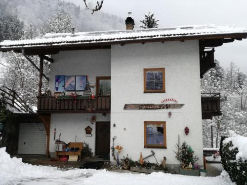 Finkenberg Apartment | Haus Mühlbichl