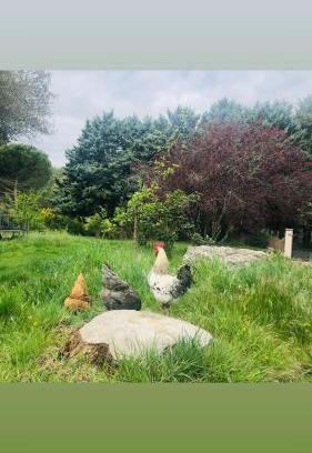 Evenos Villa | havre de paix au cœur de la provence p