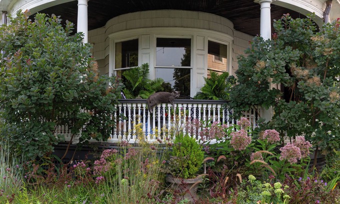 Kingston Bed & Breakfast | Heddwyn House