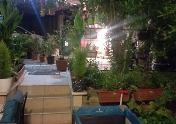 Avsallar Villa | helal el diyar ayranci village
