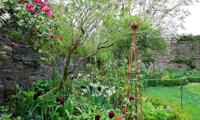 Bampton Bed & Breakfast | Heron House